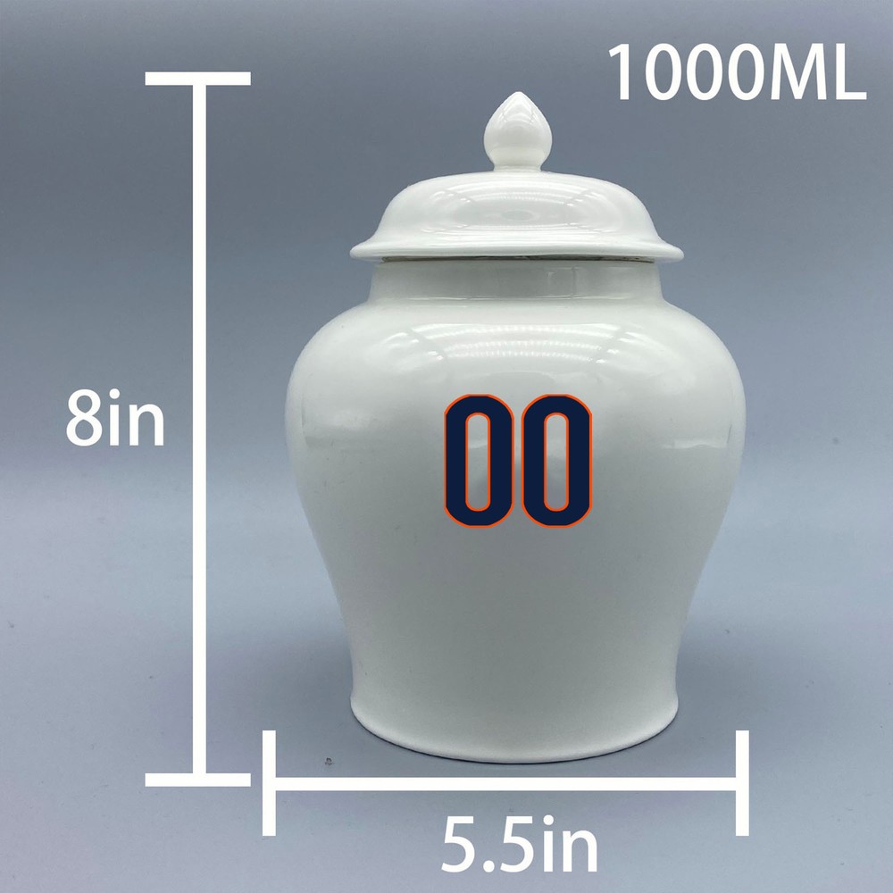 Ceramic Medium Urn for Minnesota Twins Baseball Theme, Custom Text & Number
