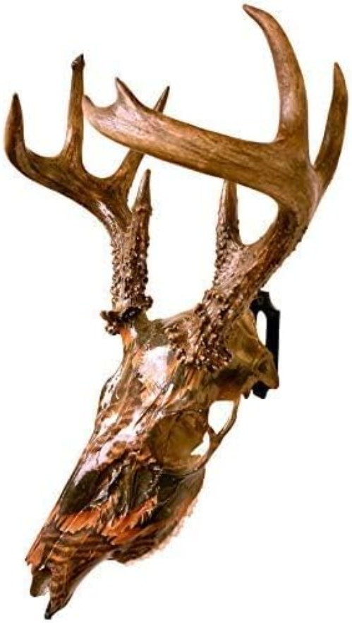 Durable E-Coat Skull Mount for Deer & Exotic Animals - Wobble-Free Display