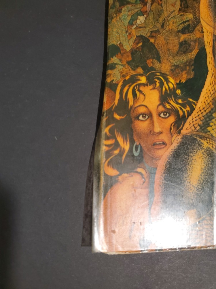 Advanced Dungeons & Dragons: Dungeon Masters Screen TSR Part II ☆ Authentic ☆