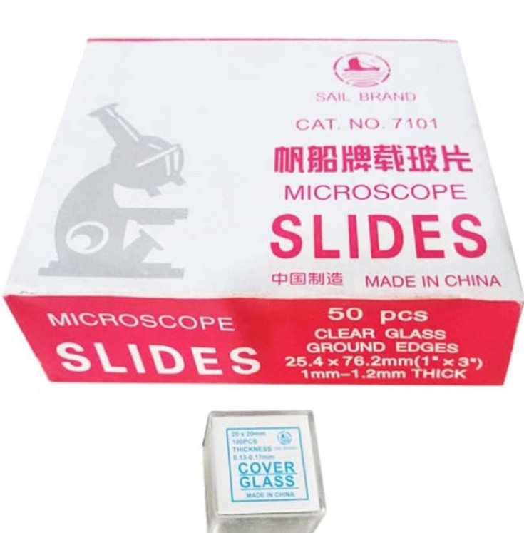 Microscope Slide and Cover Set (50 Ct.)