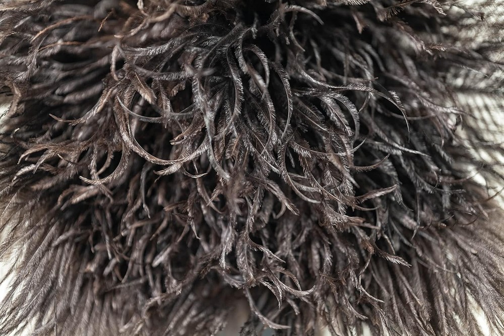 ® Premium Genuine Ostrich Feather Duster 14 inch