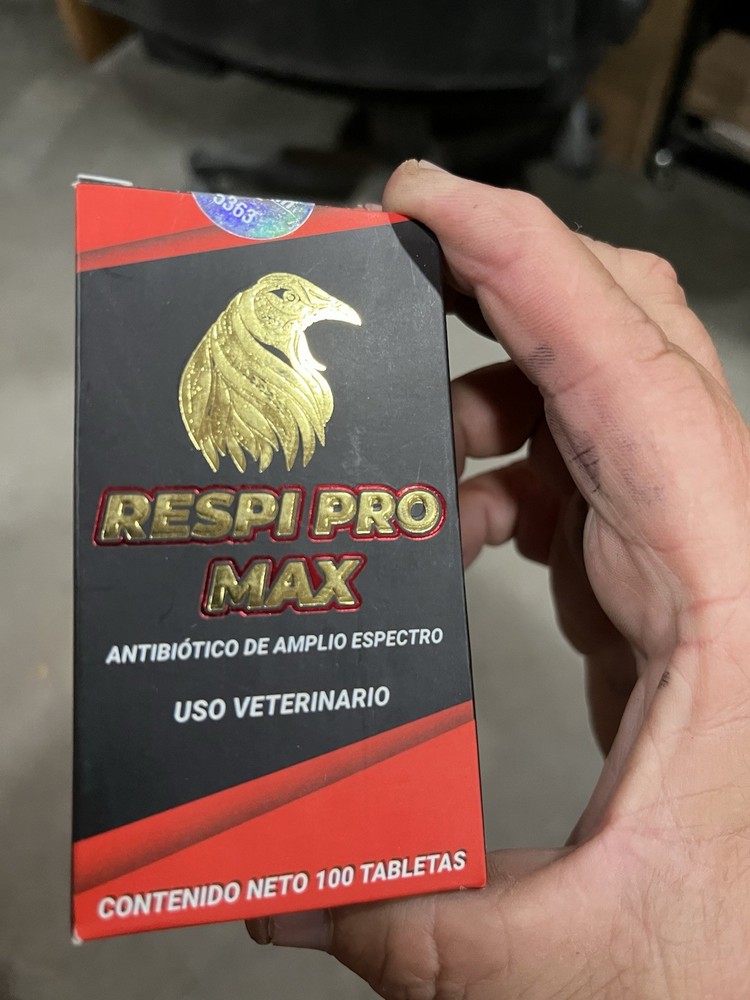 Bugarin Respi Pro Hatching Eggs , poultry