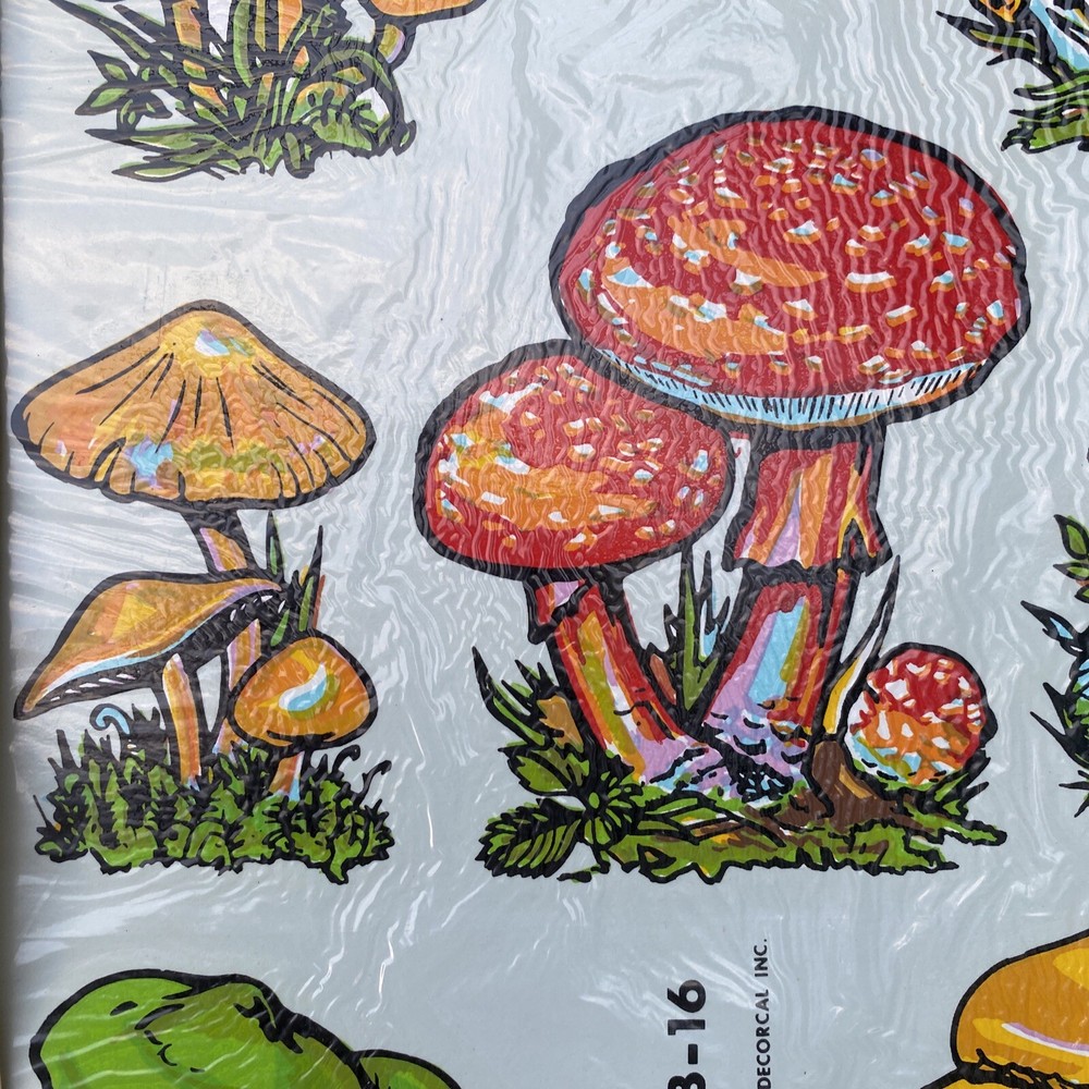 Mushrooms Water slide decals vintage