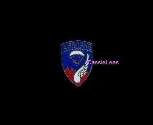 USA 187th A/B Div. + a custom promo pin