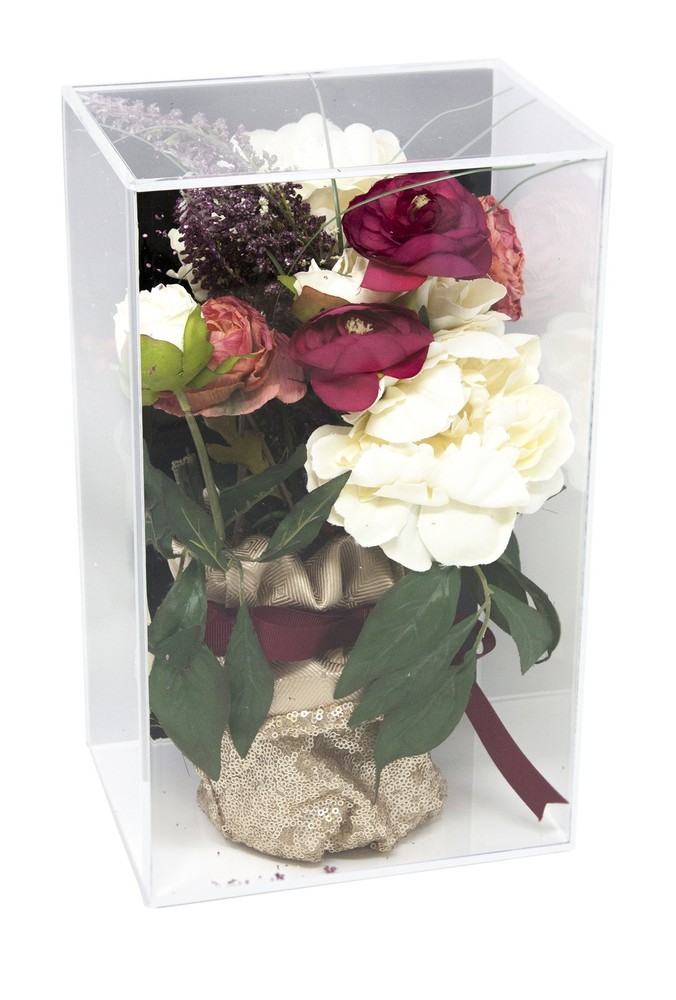 Versatile Wall Mount Display Case with Black Back 8" x 6" x 13" (A044-BB-WM)