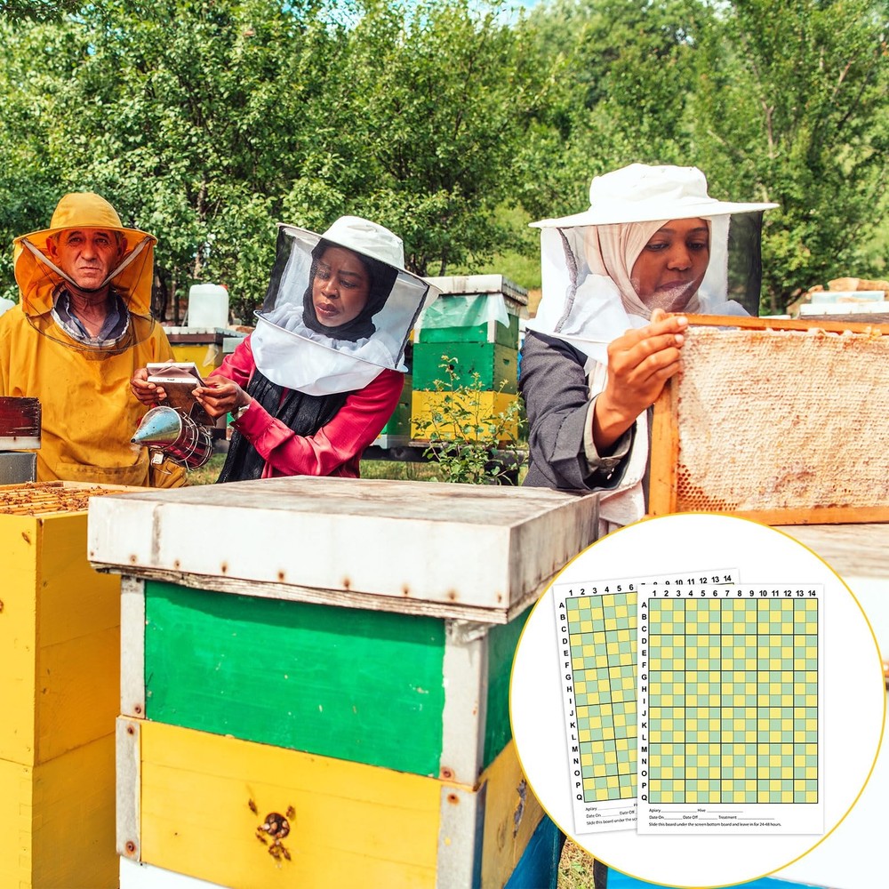 6 PCS Varroa Mite Counting Board 10Frame Screened Bottom Beekeeping Supply