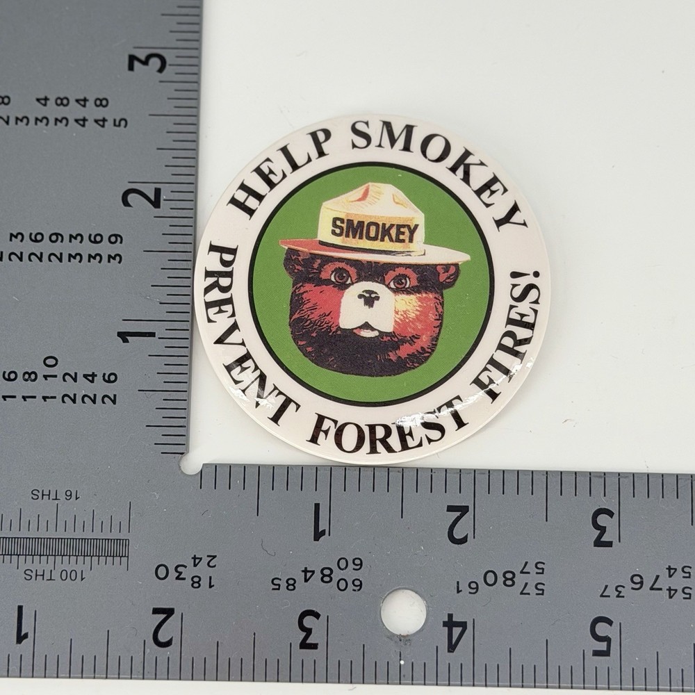 Smokey Bear Help Smokey Prevent Forest Fires Pinback Button 2.5”