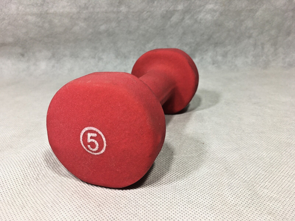 5 lb Dumbbell 5 Pounds Red Single One