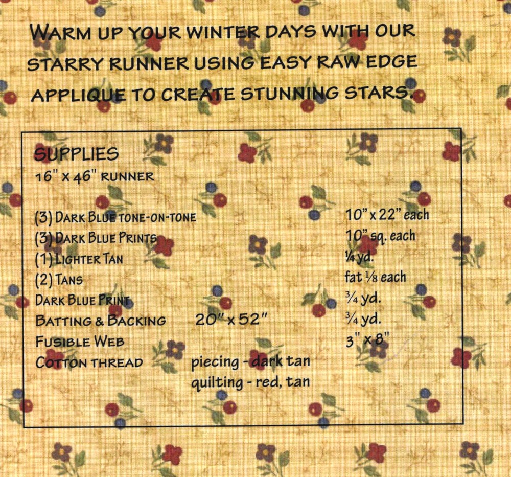 Snow Runner Quilt Quilting Pattern ~ by KT Stash Society 1237