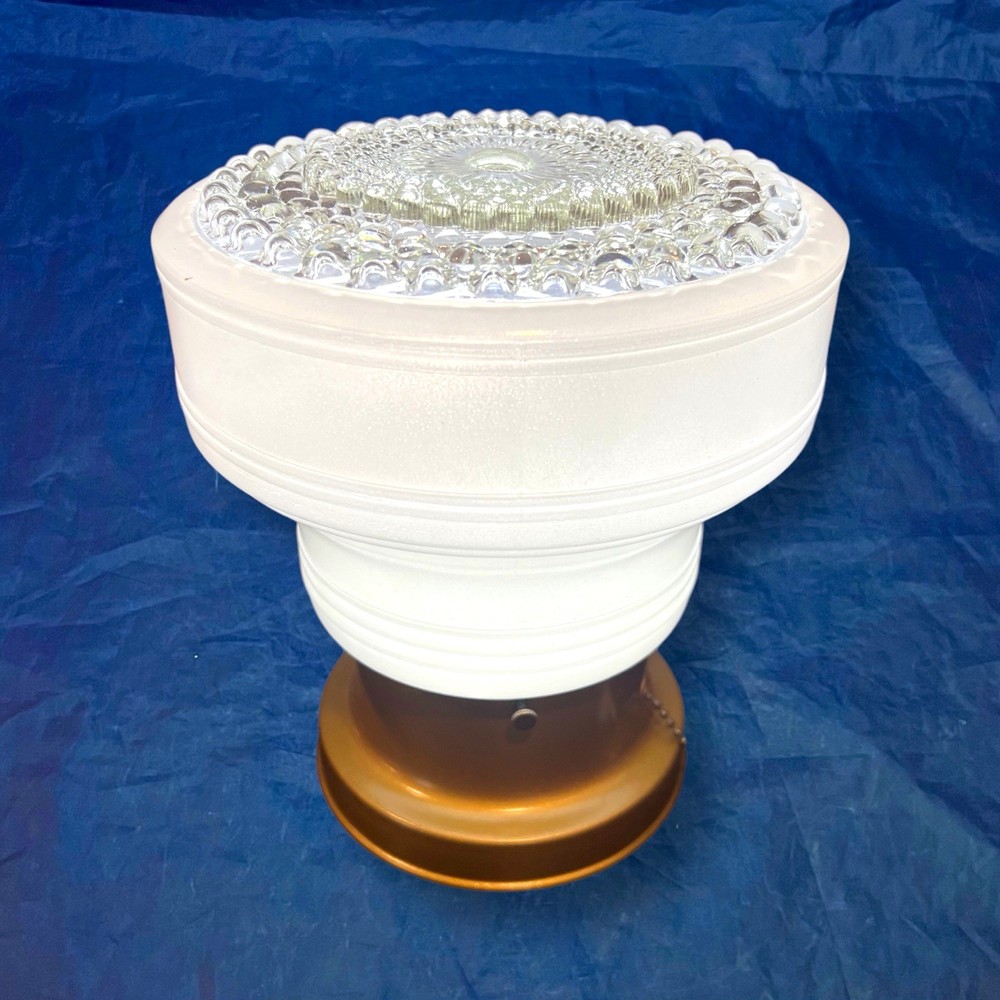 Pair Flush Mount Fixtures With Beautiful Globes 31F