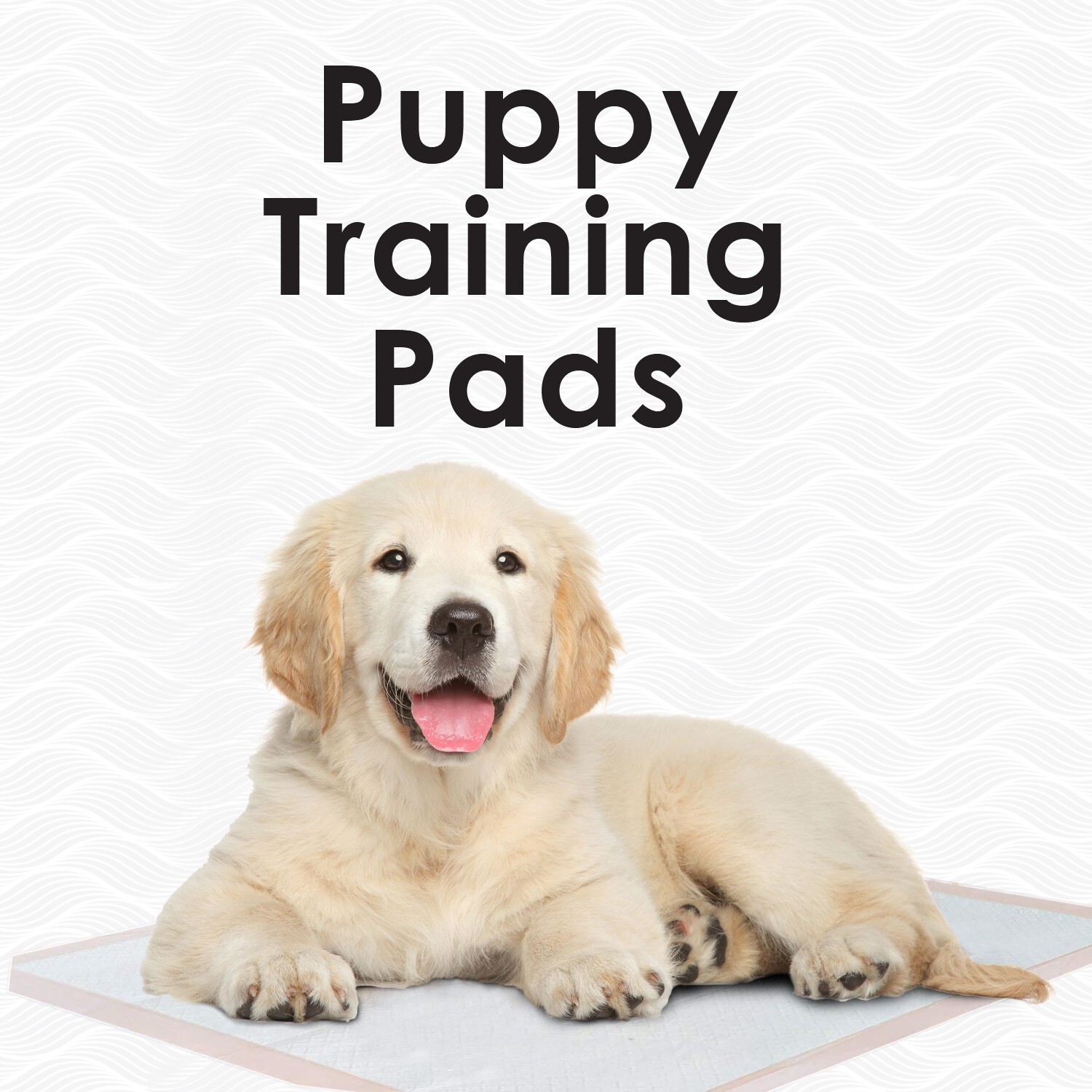 100 30x36 Medical Ultra Heavy Absorbency Dog Puppy Training Pee Pads Underpads