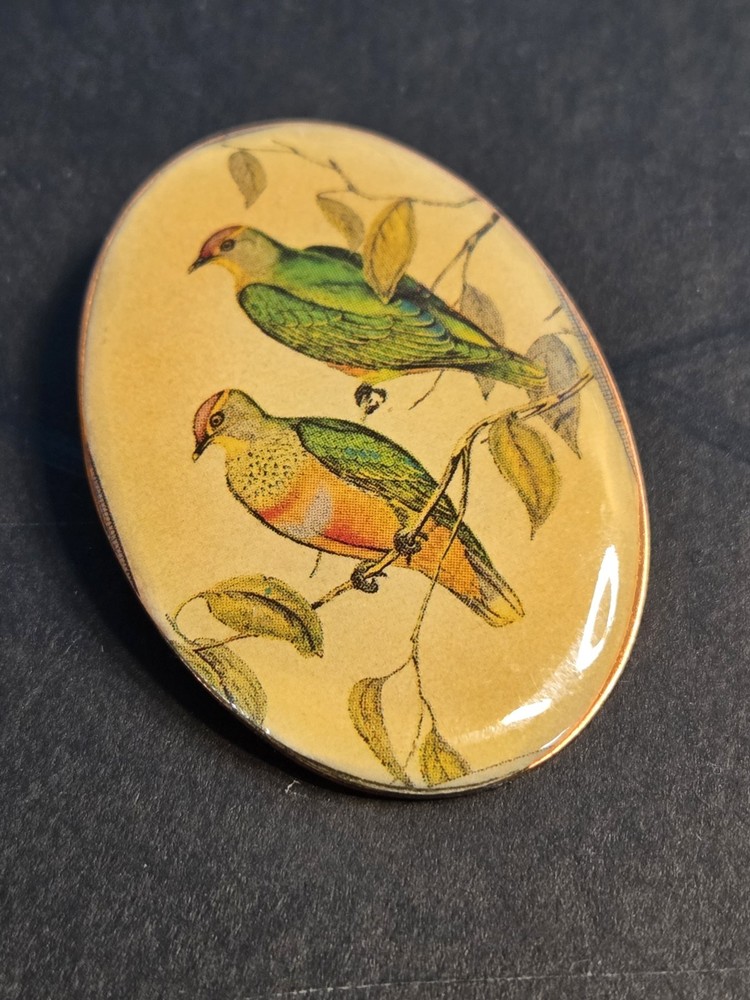 VINTAGE BIRD CABOCHON OVAL PIN BROOCH 1.75 INCH ILLUSTRATION PLASTIC ART