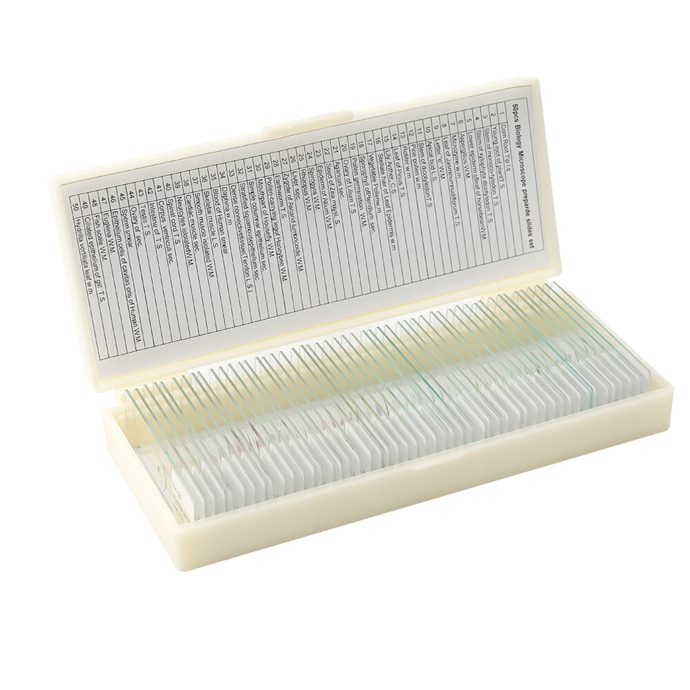 50PCS/Set Biological Glass Sample Prepared Basic Animal Plants Insects B1Y3
