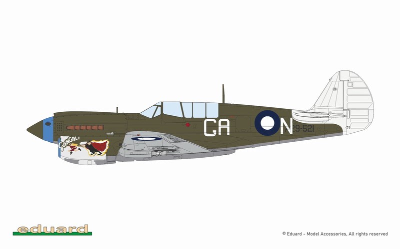 Eduard 1/48 Kittyhawk Dual Combo 11187