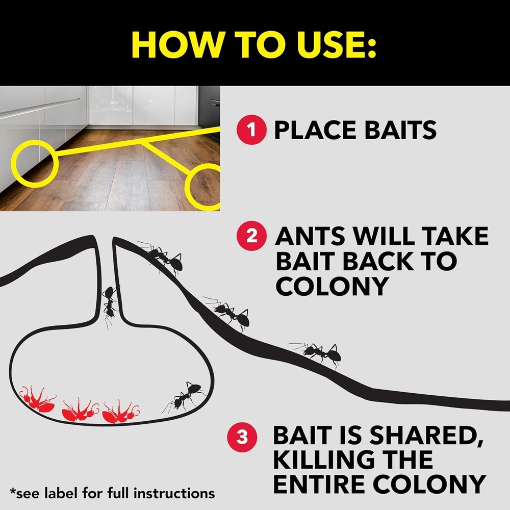 Child-Resistant Raid Ant Killer Baits - 8 Count for Effective Indoor Use