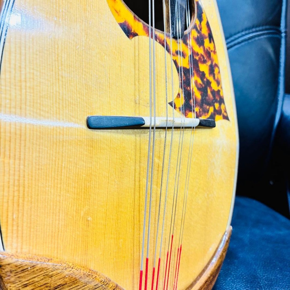 Noguchi Mandolin ST-147 Made in 2013