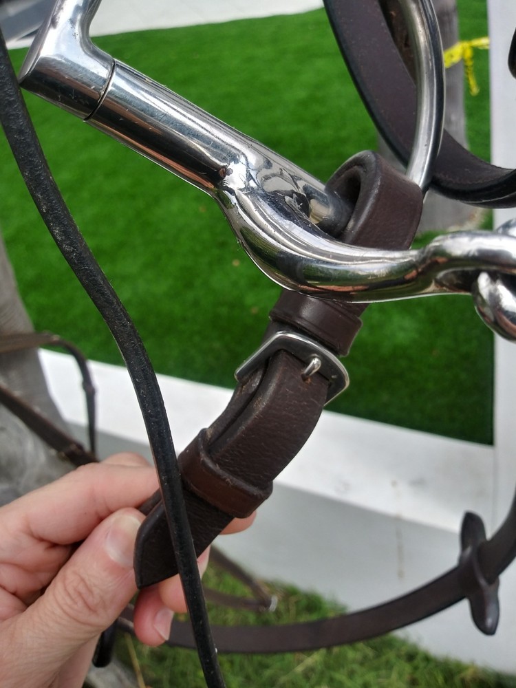 M Toulouse Hunter D-Ring Bit 5 Inch