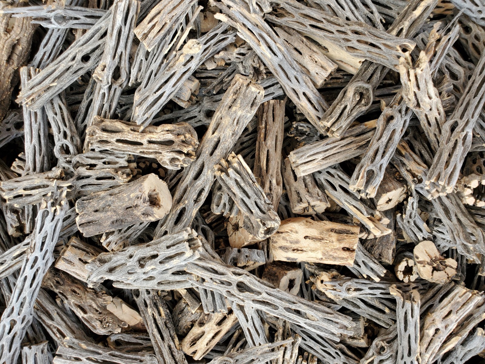 2+ LBS CHOLLA Wood CUTOFFS | Whole Pieces Split Halves Bits | Aquarium, Crafts