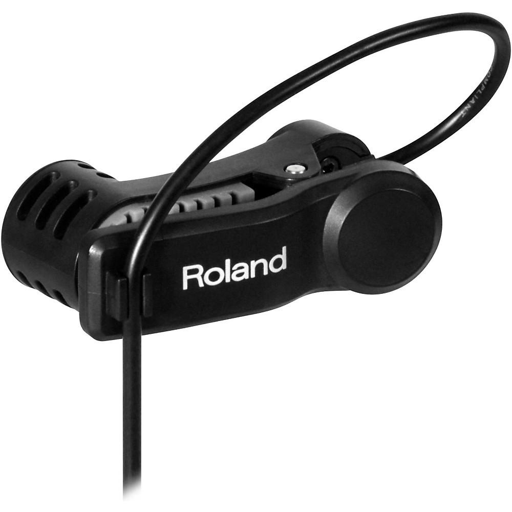 Roland ELCajon Mic Processor LN