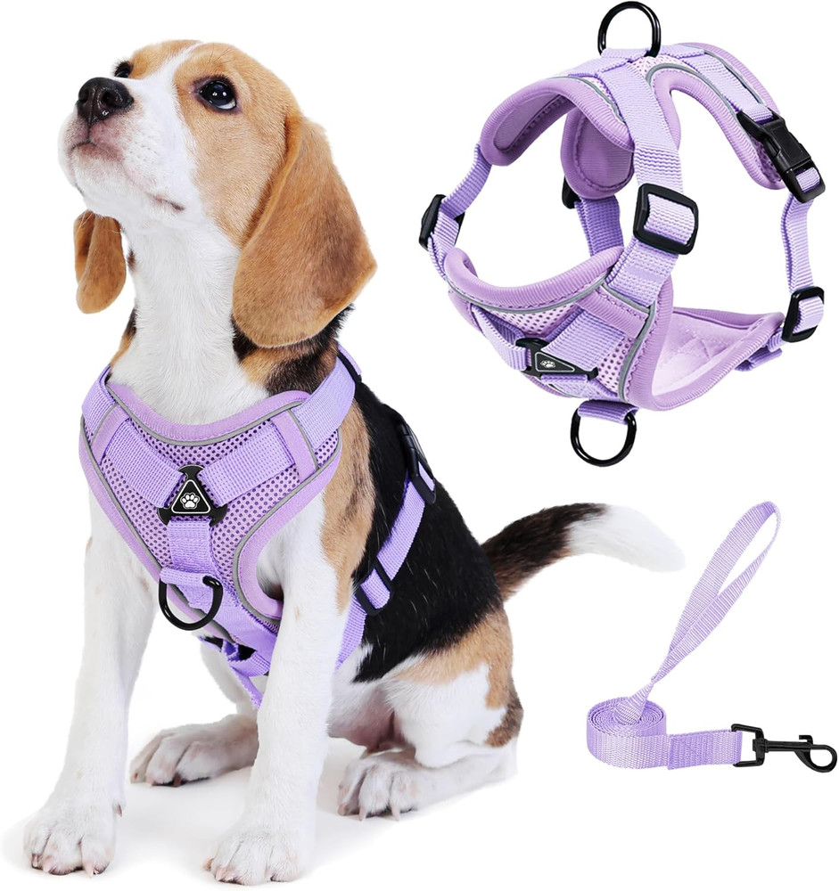 No Pull Dog Harness with Leash Set for Small Sized Dog, Reflective Adjustable No