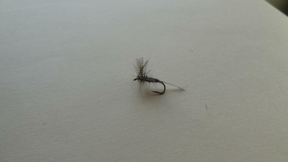 1 DOZ DF-5 HENDRICKSON LIGHT (SELECT YOUR SIZE) DRY FLY