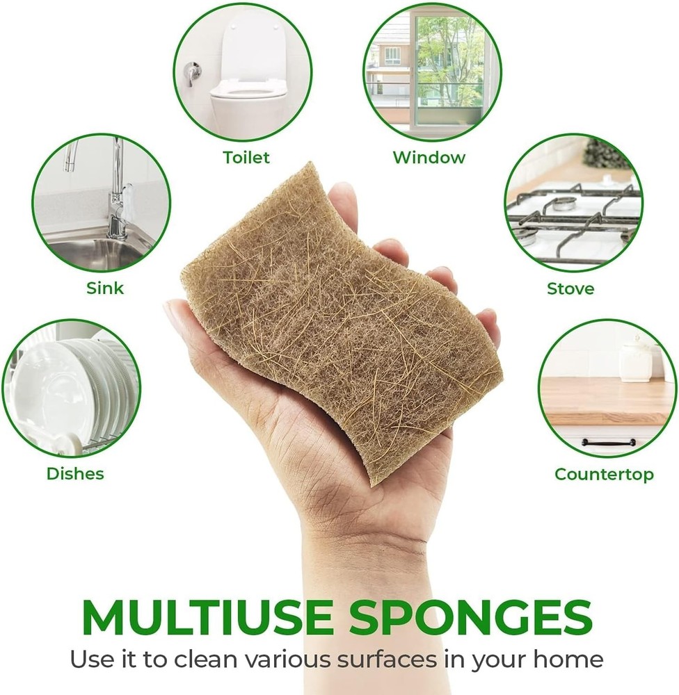 Biodegradable Natural Sponge - Compostable Cellulose & Coconut Walnut 6/12/24 ct