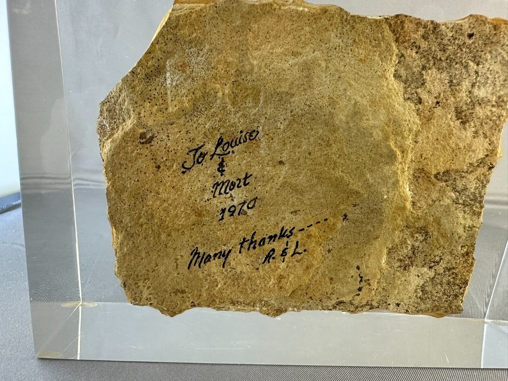 🦴 Fossilized Fish in Stone Matrix 🐟 | Authentic Prehistoric Specimen | Display