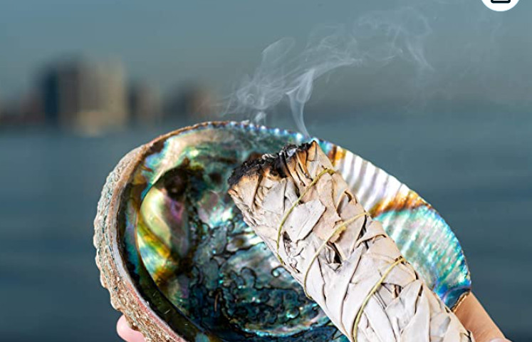 COMPLETE SMUDGE KIT ABALONE SHELL STAND SAGE BLACK FEATHER BAD ENERGY CLEARING