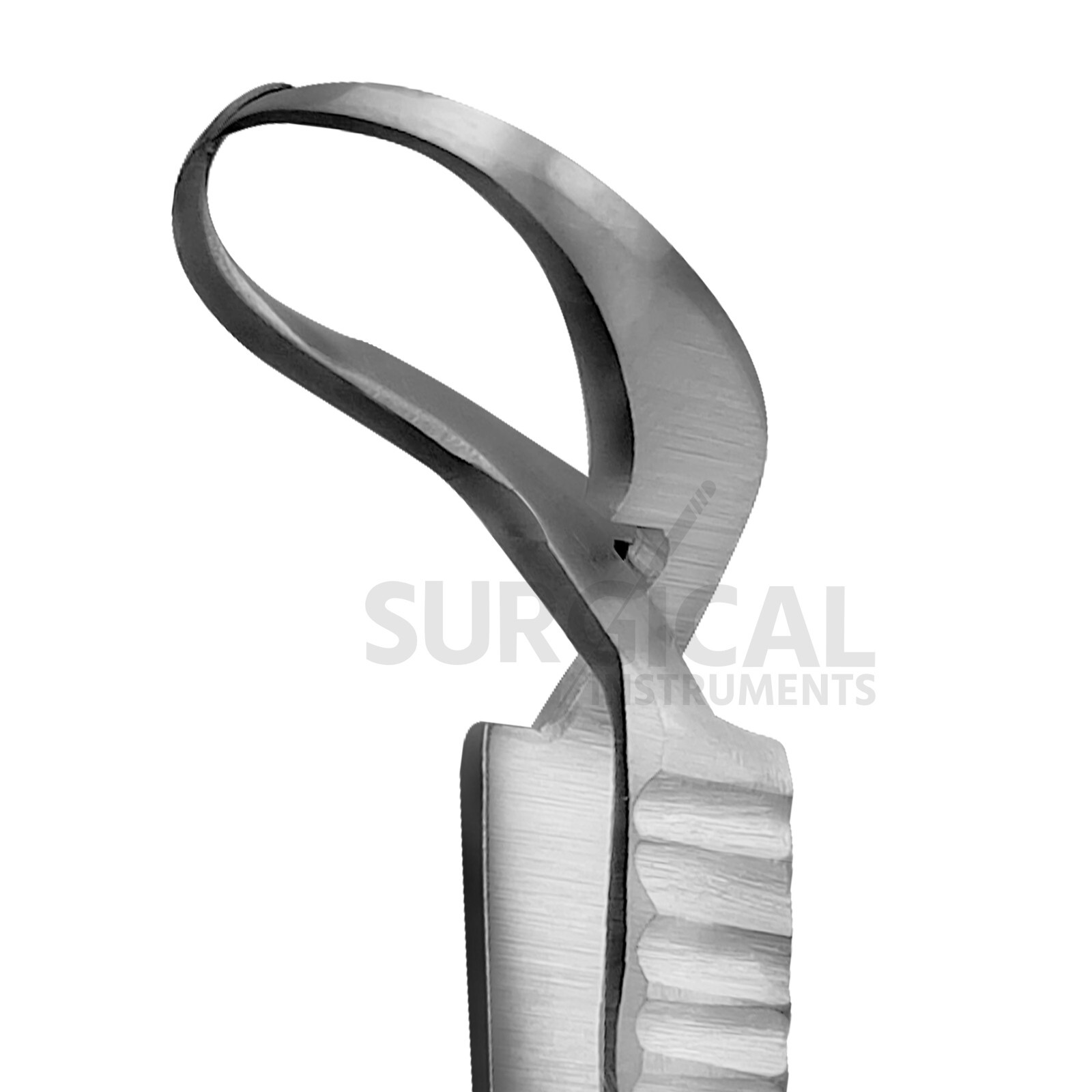 6 Pcs Jones Towel Clamp 2" Surgical ENT Veterinary Instruments German Grade