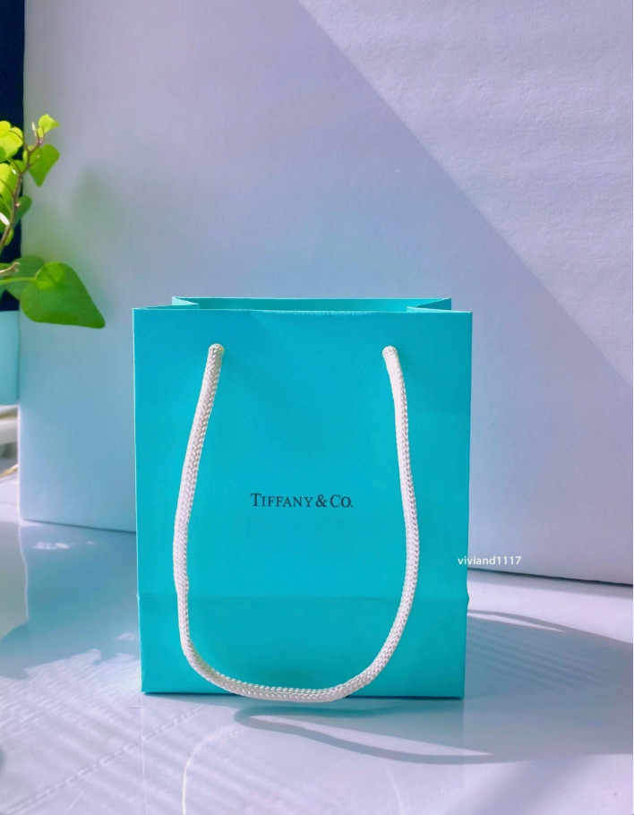 Tiffany & Co. Packaging Empty Signature Blue Gift paper Bag
