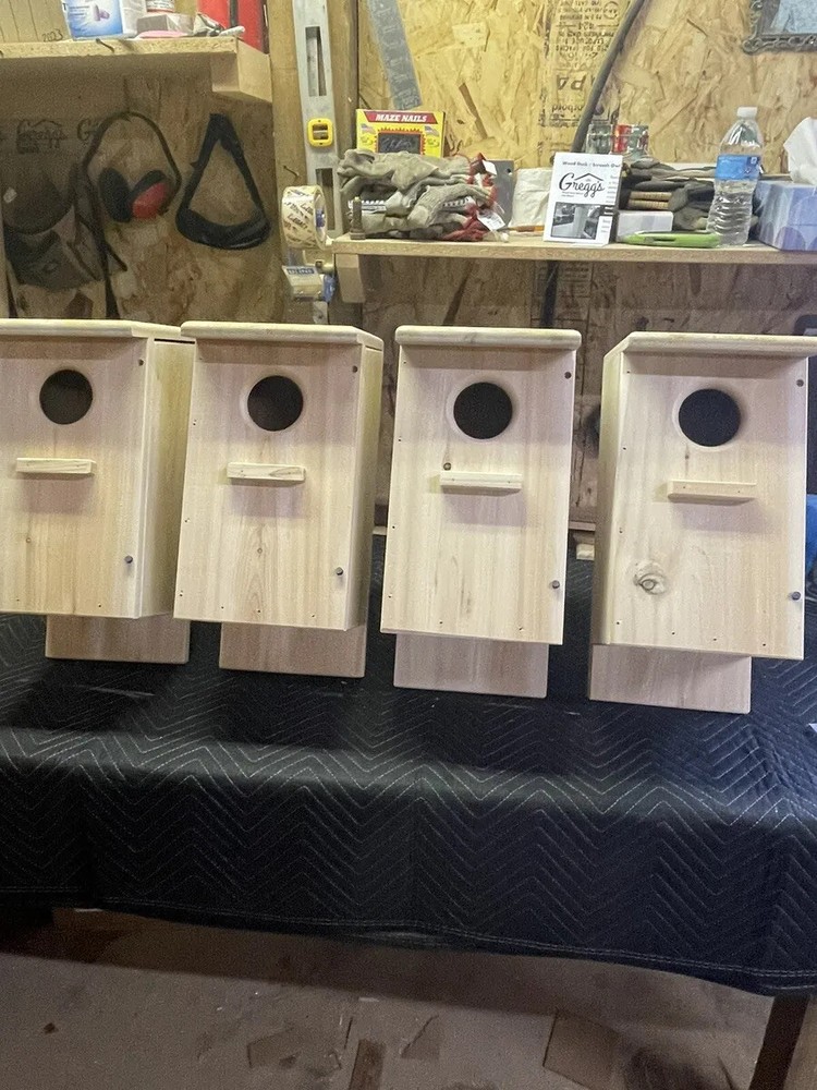 4-pack Screech owl / Kestrel nest box (white cedar)