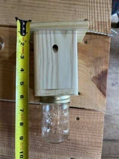 Best Carpenter Bee Trap Set of 6 PRESSURE TREATED Handmade