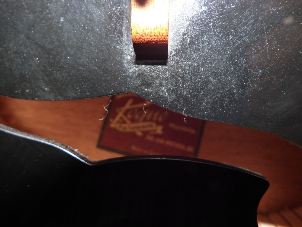 Rogue RM-100A A-Style Mandolin - Black