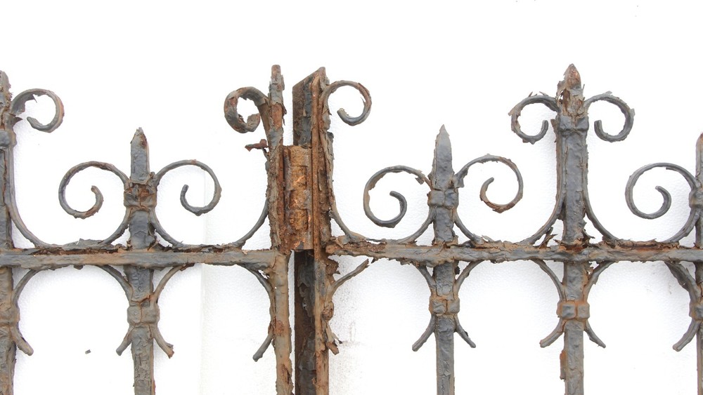 Wrought Iron Fence with Attached Gate