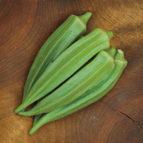 6 Live OKRA Clemson spineless Plants