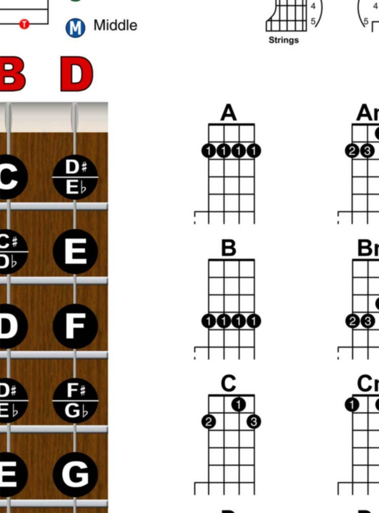 Banjo Chord Chart Poster Fretboard Rolls 5 String Chords Beginner Notes Theory