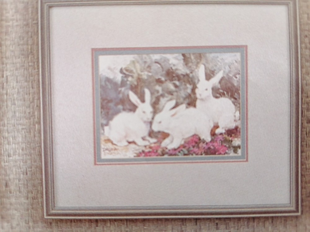 Watercolours in Counted Cross Stitch Pattern, Charts, Dawna Barton