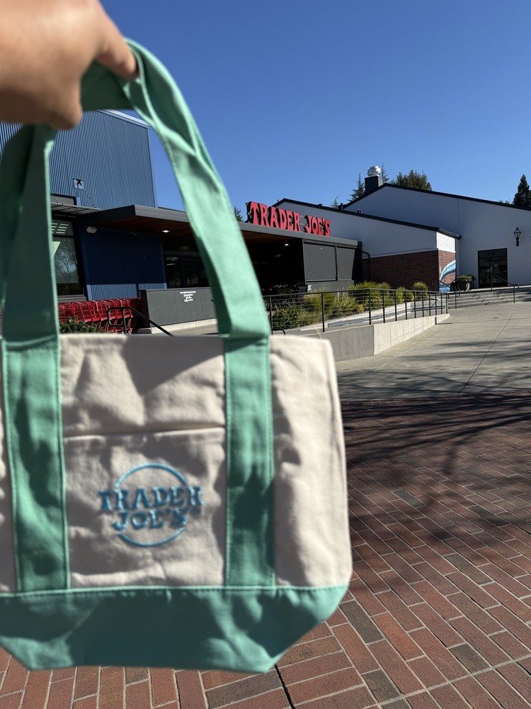 Trader Joe's Mint Green Mini Tote!