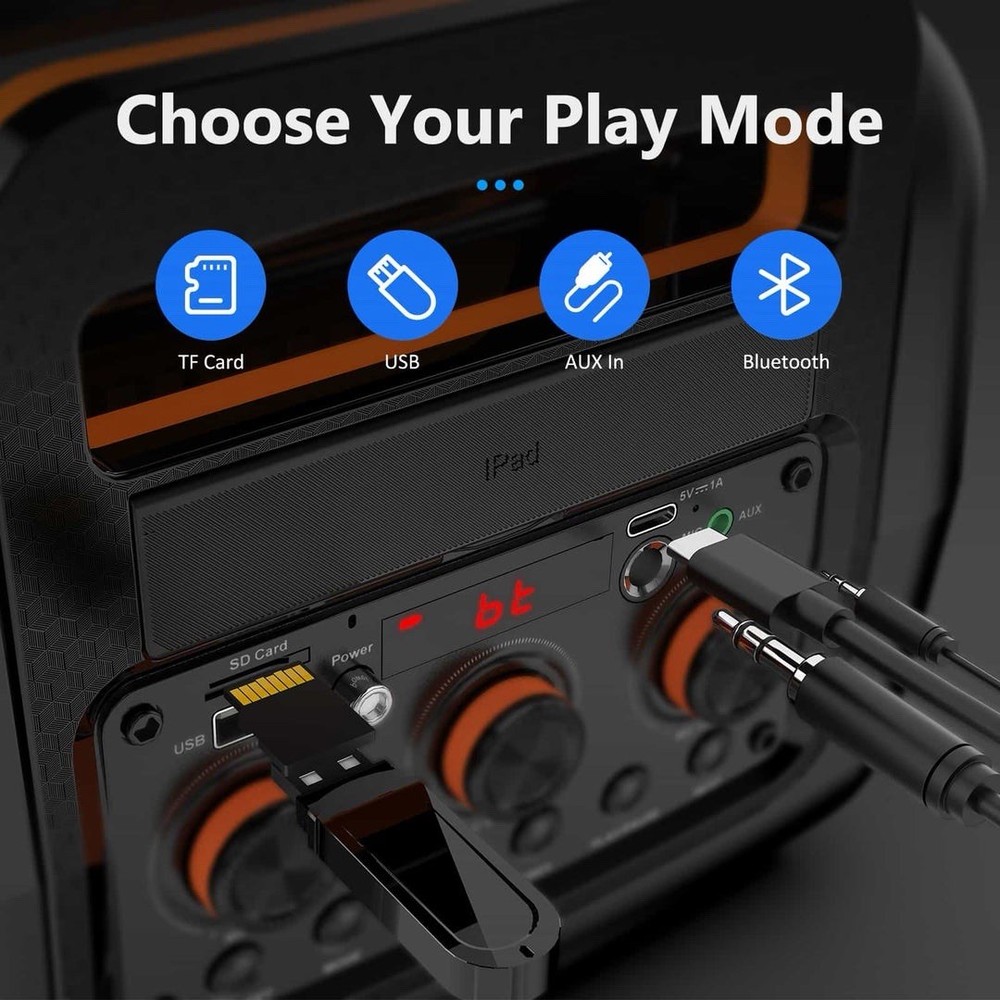 JYX D13 Portable Karaoke Machine with 2 Microphones