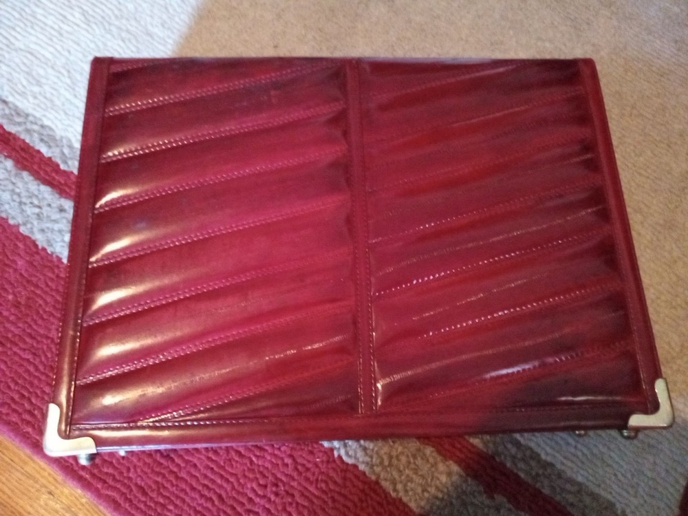 Vintage Amiet Eel skin Briefcase.