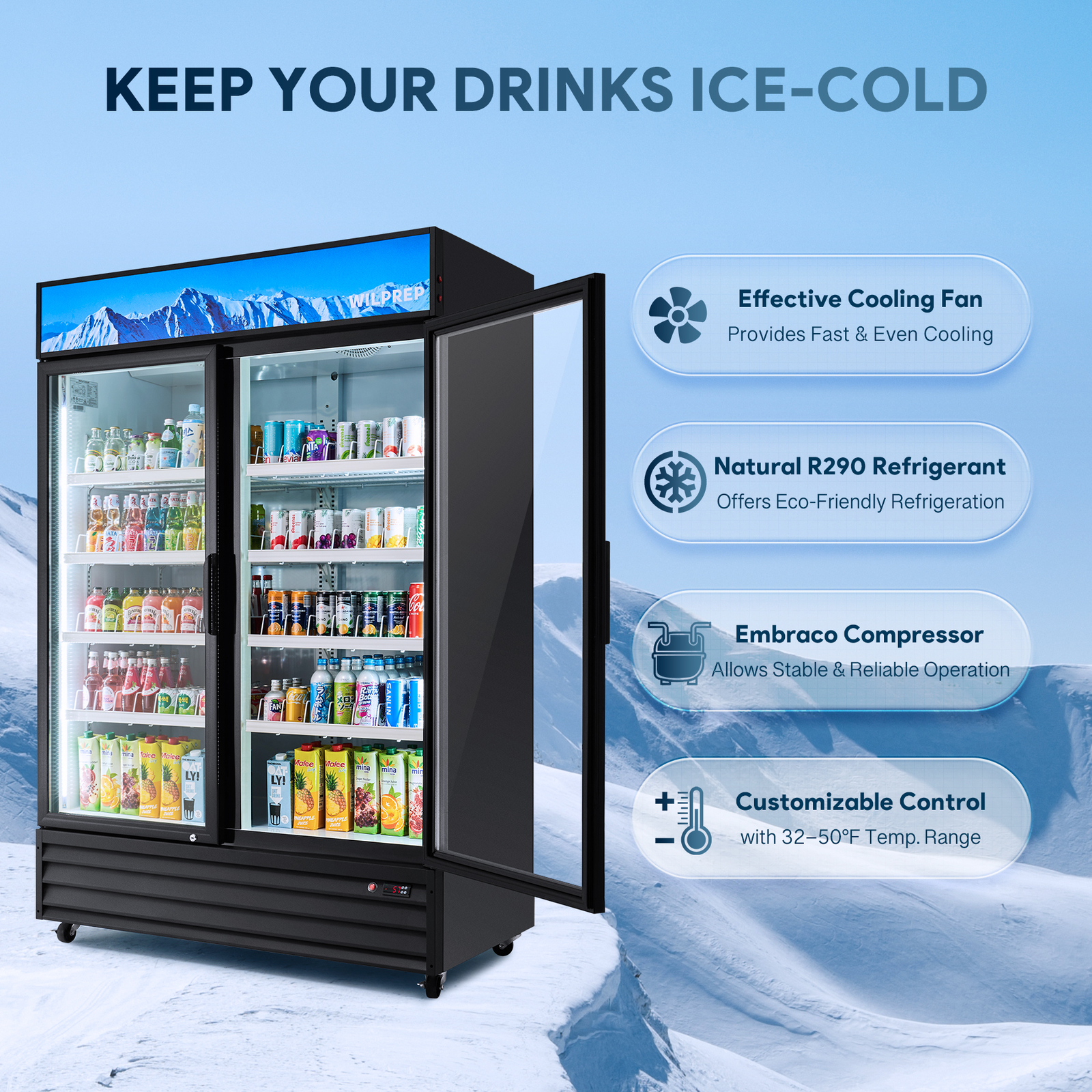 53" ETL Commercial Merchandiser 2 Glass Door Cooler Display Refrigerator 40 CF