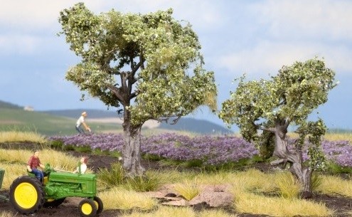 NOCH,2 olive trees - 6 and 9 cm, , NOC21995
