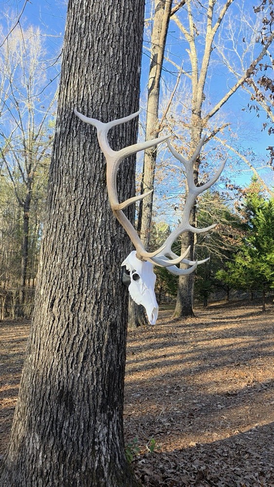 3d Printed Elk Skull Wall Hanger