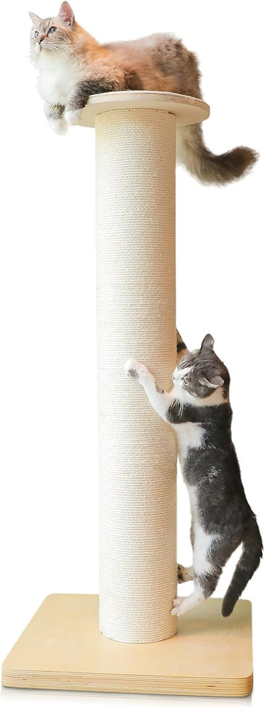 Extra-Large 50" Cat Scratching Post for Big Cats with Solid Wood Base