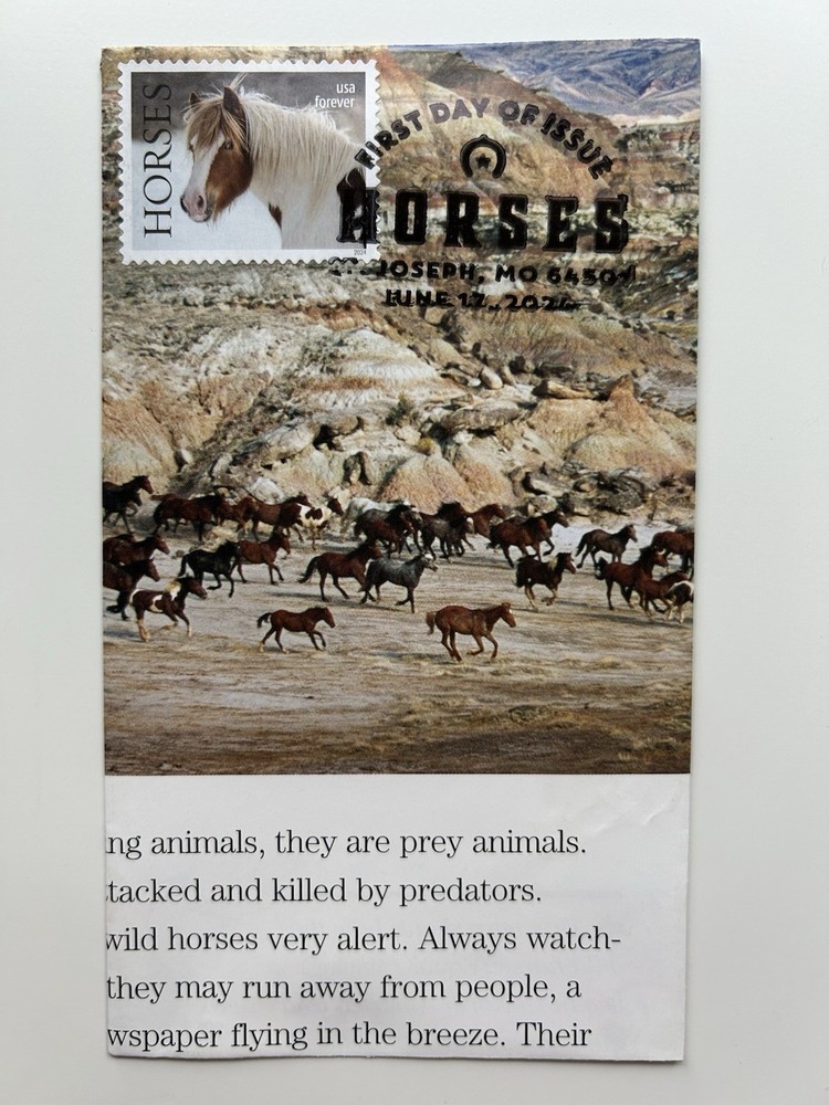 2024 Horses FDC Hand Crafted Folded Cachet Educational Children’s Book