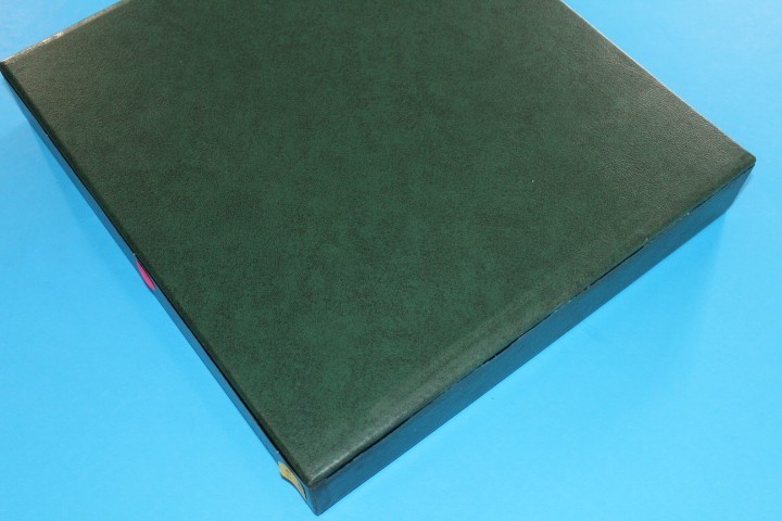 Dustcase GREEN empty for stamp binder (Lindner??) BlueLakeStamps Useful!