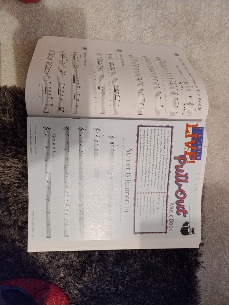 Play Flute. The Ultimate Self-Teaching Method