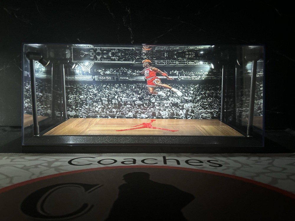 Michael Jordan Custom 2-3 Card PSA Display Case W/ LED Lights