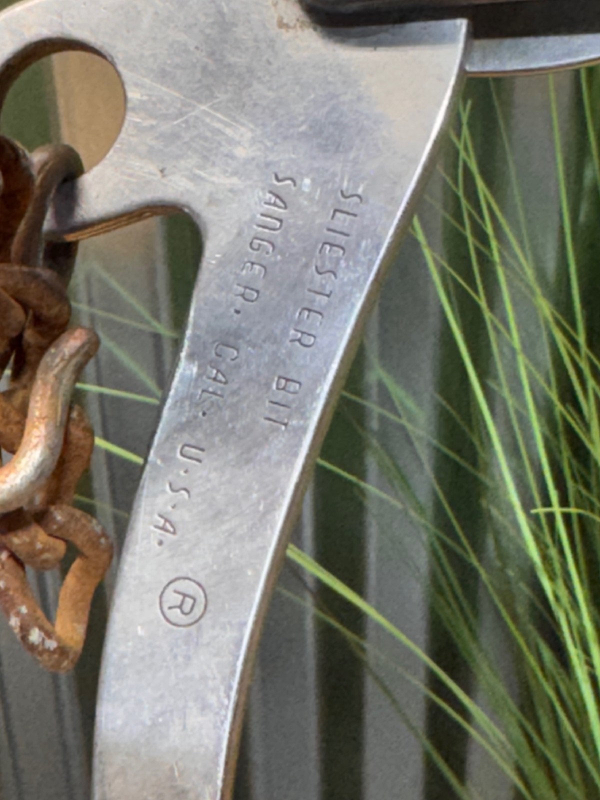 SLIESTER Engraved Surgical Steel Leather Nose Mechanical Hackamore ~ Bitless