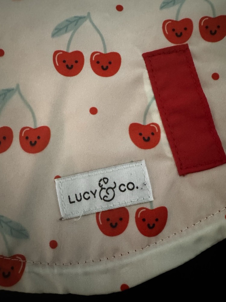 Cherry Print Pet Raincoat